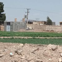 زمین کشاورزی|فروش زمین و کلنگی|اصفهان, قلعه نو|دیوار