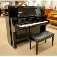 YAMAHA PIANO یاماها .دایناتون سری حرفهای و آموزشی|پیانو، کیبورد، آکاردئون|تهران, جمهوری|دیوار