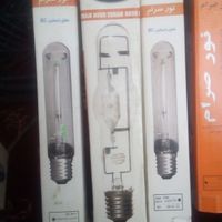 انواع لامپهای گازی و خیاری در ولتاژهای مختلف|لامپ و چراغ|اهر, |دیوار