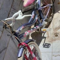 دوچرخه دخترانه|دوچرخه، اسکیت، اسکوتر|کاشان, |دیوار