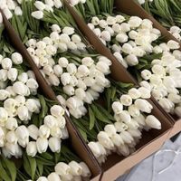 گل شیپوری لاله مصنوعی برگ گیاه بنجامین|گل مصنوعی|تهران, خانی‌آباد|دیوار