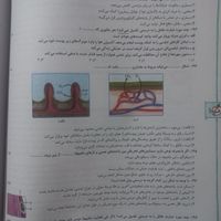 کتابکار زیست دهم خیلی سبز|کتاب و مجله آموزشی|تهران, آرژانتین|دیوار