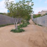 باغ شهری خان زنیان|فروش خانه و ویلا|بوشهر, |دیوار