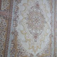 فرش ۶متری خوش نقش|فرش|رشت, حمیدیان|دیوار