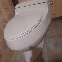 توالت فرنگی|لوازم سرویس بهداشتی|تهران, الهیه|دیوار