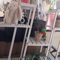 جا گلدوین دکوراسیون بوفه گلدون|صنایع دستی و سایر لوازم تزئینی|تهران, نعمت‌آباد|دیوار