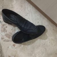 کفش مردونه نو|کیف، کفش و کمربند|تهران, نعمت‌آباد|دیوار