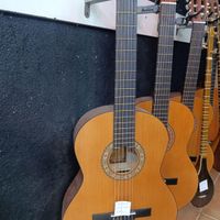گیتاری پارسی اصل|گیتار، بیس و امپلیفایر|مشهد, سعدی|دیوار