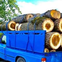 خریدار چوب باغی وغیره وهراسکاری بااره موتوری|خدمات باغبانی و درختکاری|فیروزکوه, |دیوار