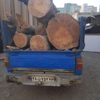 هرس درخت ، باغبانی ، چوب بری ، قطع درخت ،|خدمات باغبانی و درختکاری|کرج, مهرشهر - فاز ۴|دیوار