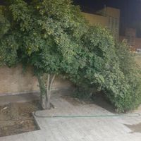 سویت منزل همکف دربست ویلایی خ کاشانی پارکینگدار|اجارهٔ کوتاه‌مدت آپارتمان و سوئیت|یزد, |دیوار