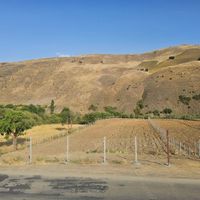 زمین باغ کشاورزی جاده نران ۳۸۰۰متر|فروش دفتر صنعتی، کشاورزی، تجاری|کامیاران, |دیوار