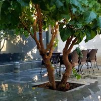 باغ ویلا اب گرم سرپوشیده|اجارهٔ کوتاه مدت ویلا و باغ|صباشهر, |دیوار