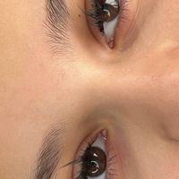 انواع کاشت مژه|خدمات آرایشگری و زیبایی|تهران, دردشت|دیوار