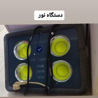 اجاره باند، رقص نور، چراغ روشنایی|صوتی و تصویری|بندرعباس, |دیوار