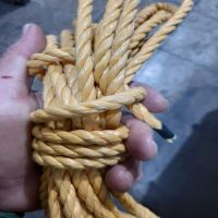 طناب ماهیگیری (صیادی)|ماهیگیری|تهران, قیام|دیوار