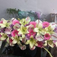 باکس گل  سبد گل دسته گل ترحیم جشنی|گل و گیاه طبیعی|تهران, صالح‌آباد شرقی|دیوار
