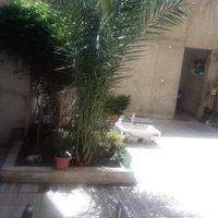 سه طبقه ویلایی کلنگی|فروش زمین و کلنگی|تهران, دلگشا|دیوار
