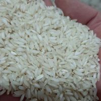 برنج چمپا خوشپخت کیفیت|خوردنی و آشامیدنی|اهواز, کوی مهدیس|دیوار