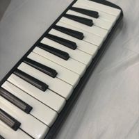 ملودیکا سوان melodica black -RT45|سازهای بادی|تهران, نارمک|دیوار