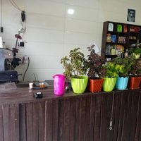 فروش وسایل کافه|کافی‌شاپ و رستوران|یاسوج, |دیوار