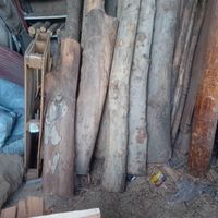 چوب چنار خشک|عمده‌فروشی|تهران, عارف|دیوار