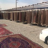 قالیشویی شاهین ویلا قلم  باغستان یاس  گلشهر حصارک|خدمات نظافت|کرج, گلدشت|دیوار