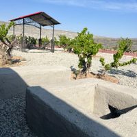 باغ انگور قدیمی 500 متر سرسبز خوش آب و هوا|فروش زمین و کلنگی|تهران, شهرک ولیعصر|دیوار