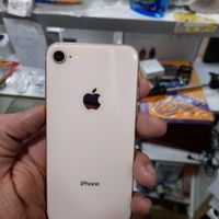 اپل iPhone 8 ۶۴ معاوضه هم با گوشی داریم|موبایل|تهران, مشیریه|دیوار