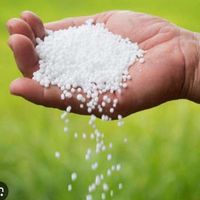 کود اوره سفید آبی|خدمات باغبانی و درختکاری|اصفهان, هفتون|دیوار