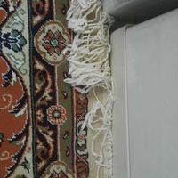 فرش ماشینی|فرش|تهران, آذربایجان|دیوار