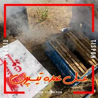 عسل عمده تیسپون (چهل گیاه)، بدون تغییر و افزودنی|خوردنی و آشامیدنی|تهران, سهروردی|دیوار