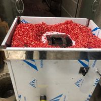دستگاه آبغوره آب انار گیری پ ۳۰۴ آب گوجه گیری|فروشگاه و مغازه|تهران, تهران‌سر|دیوار