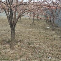 ویلا/باغ/زمین باآب وبرق درروستای زین اباد و مزرعه|فروش خانه و ویلا|تبریز, |دیوار