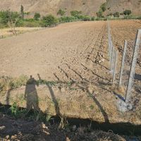 زمین باغ کشاورزی جاده نران ۳۸۰۰متر|فروش دفتر صنعتی، کشاورزی، تجاری|کامیاران, |دیوار