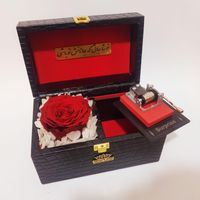باکس موزیکال چرمی گل رز جاودان جاویدان ولنتاین|گل و گیاه طبیعی|تهران, میدان ولیعصر|دیوار