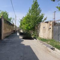 ۶۲۰ متر زمین دیوارکشی با همه امکانات|فروش زمین و کلنگی|تهران, شهران شمالی|دیوار
