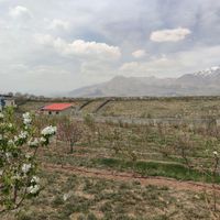 باغ میوه آبسرد زان|فروش زمین و کلنگی|تهران, تهران‌نو|دیوار