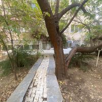 کلنگی۵۰۰ متر بر۱۵ گذر۲۰تاپ شیخ بهایی و شیراز شمالی|فروش زمین و ملک کلنگی|تهران, ونک|دیوار