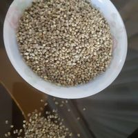 خشکبار و زعفران ، زرشک ، عناب و سایر محصولات|عمده‌فروشی|مشهد, کوی مهدی|دیوار