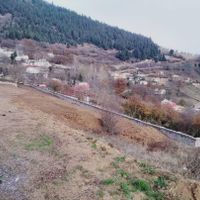 ۵۰۰ متر زمین ویلایی منطقه توریستی جمشید آباد|فروش زمین و ملک کلنگی|رستم‌آباد, |دیوار