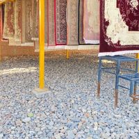 قالیشویی نمونه اِشراف|خدمات نظافت|نجف‌آباد, |دیوار