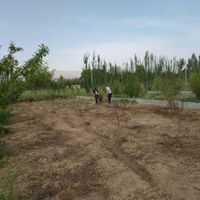 ۳۰۰متر زمین باغچه ای|فروش زمین و کلنگی|تهران, کاروان|دیوار