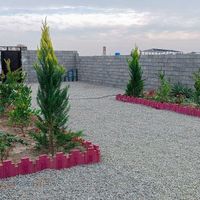 ۲۵۰متر باغچه سنددار لوکیشن برند|فروش زمین و کلنگی|تهران, نازی‌آباد|دیوار