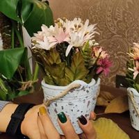 گل همراه با گلدون خارجی قابل شستشو|گل مصنوعی|تهران, تجریش|دیوار