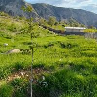زمین باغی روستای توریستی چشمه چنار|فروش زمین و کلنگی|یاسوج, |دیوار