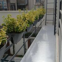 خدمات باغبانی وتعویض خاکگلدون در منزل  وشرکت تهران|خدمات باغبانی و درختکاری|تهران, پاتریس لومومبا|دیوار