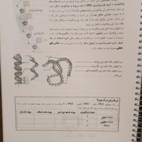 کتاب جزوه کنکور کلاسینو تاملند حیدری عظیمی بابایی|کتاب و مجله آموزشی|تهران, میدان انقلاب|دیوار