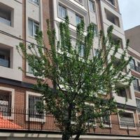 فرعی دسترسی|فروش آپارتمان|تهران, مینا|دیوار