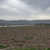 باغ وزمین کشاورزی،نقدواقساط|فروش زمین و کلنگی|فیروزآباد, |دیوار